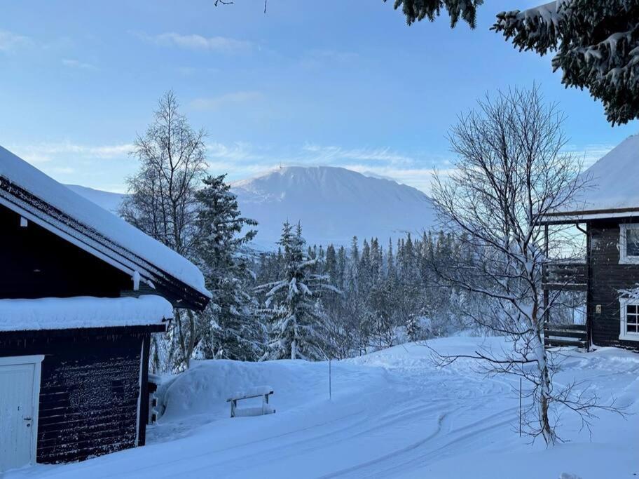 Ski Inn/Out - 4-Room Apartment W/3 Bedroom Gaustablikk Exterior foto